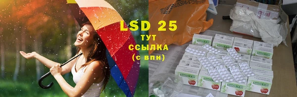 стаф Россошь