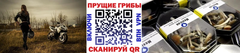Псилоцибиновые грибы прущие грибы  купить закладку  это официальный сайт  Себеж 